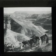 Böhl glass slide 61.1/1630